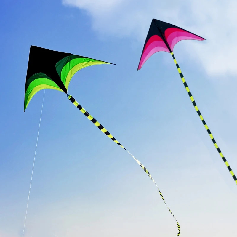 طائرة دلتا كبيرة الحجم سهلة ال - مراجعة Kite Easy Fly Kids وسعره