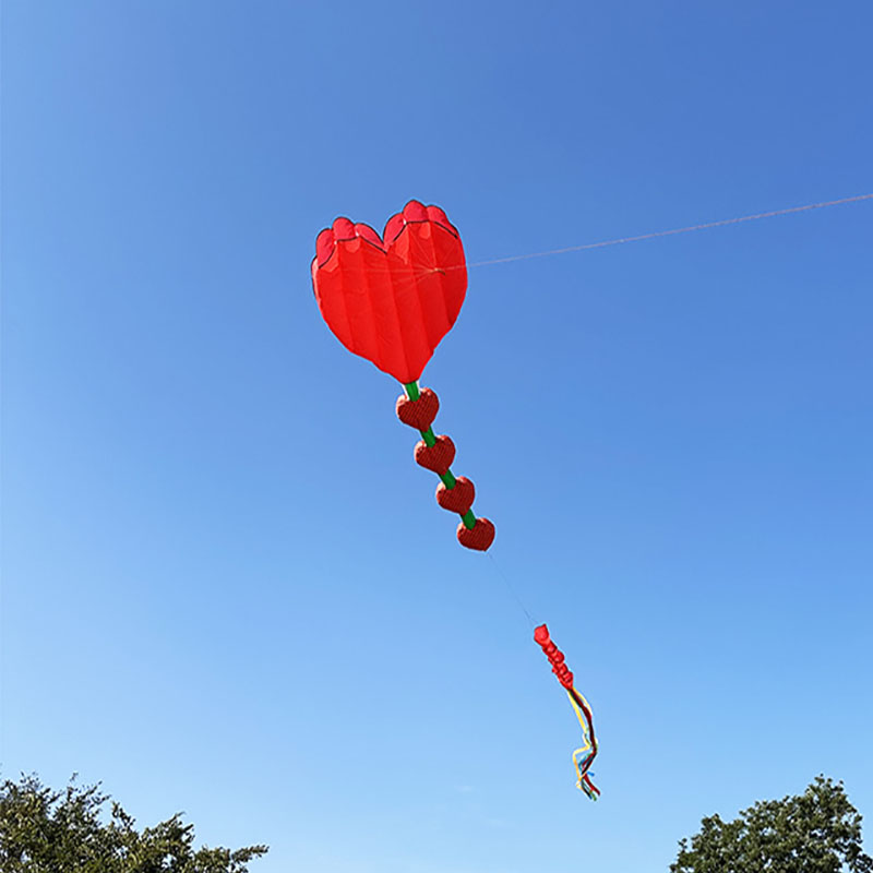 طائرة ورقية جديدة على شكل قلب  - مراجعة Kids Outdoor Area وسعره