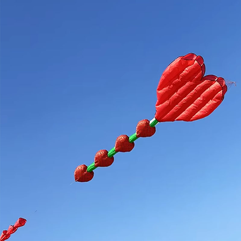 طائرة ورقية جديدة على شكل قلب  - مراجعة Kids Outdoor Area وسعره