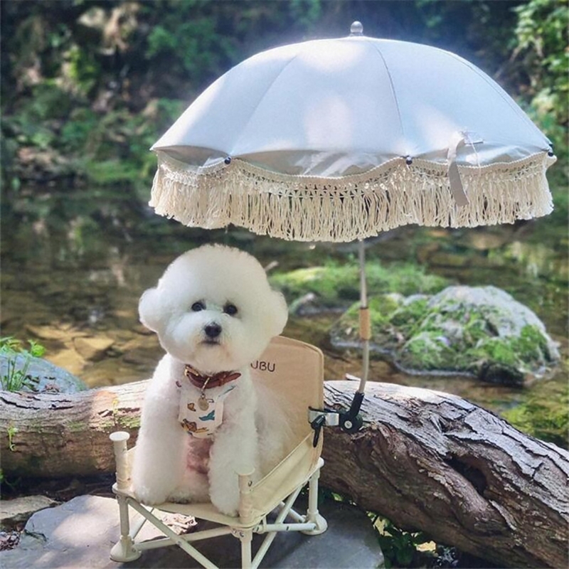 أطفال التصوير الدعائم البوهيمي - مراجعة Kids Outdoor Umbrella وسعره