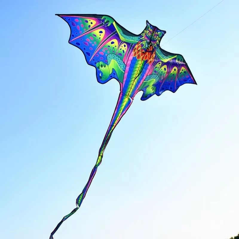 طائرة ورقية ثلاثية الأبعاد على - مراجعة Kite Easy Fly Kids وسعره