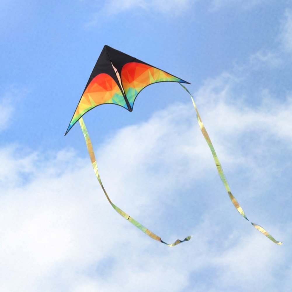 طائرة ورقية دلتا كبيرة ذات ذيل - مراجعة Kite Easy Fly Kids وسعره